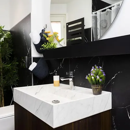 Apartment Disciplini Duplex *